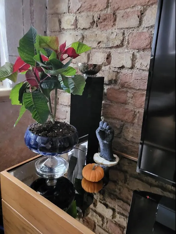 Zk0818 Apartment Istanbul Turkey